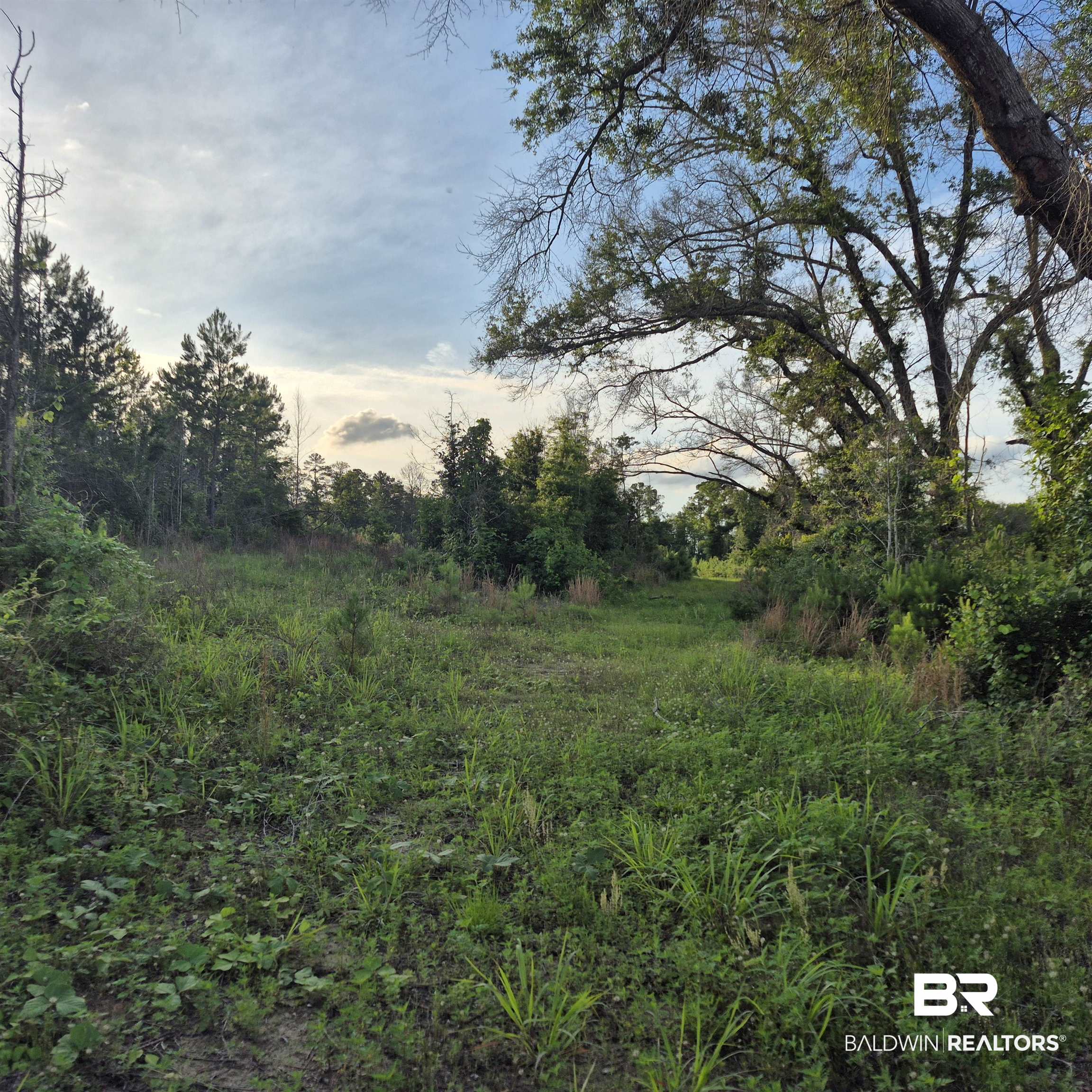 0 Brooklyn Road Evergreen, AL 36401 - Photo 12 of 15