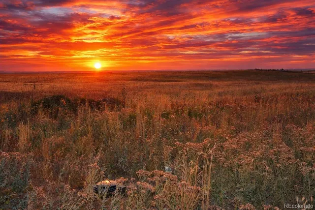 a view of a lake with lots of trees