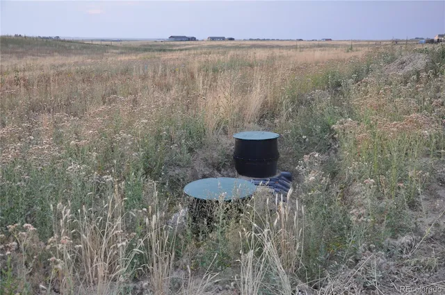 a view of a lake from a yard