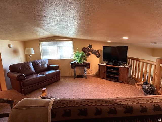 1454 East Little Sweden Road Heber City, UT 84032 - Photo 23 of 35 Living room with carpet