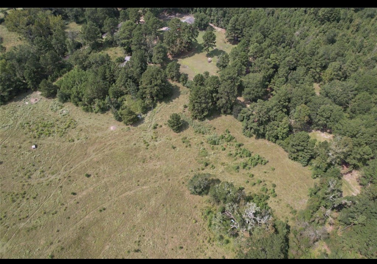 4.3 Lacy 3 Road Groveton, TX 75845 - Photo 9 of 14