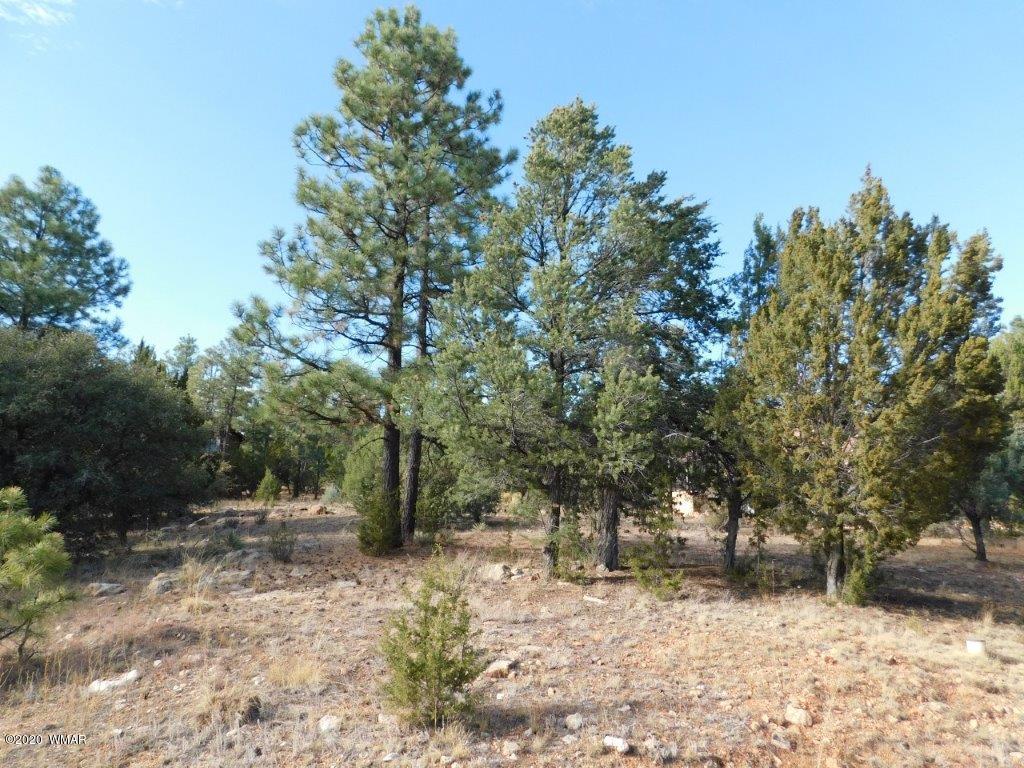 1925 Highway 260 Heber, AZ 85928 - Photo 1 of 14