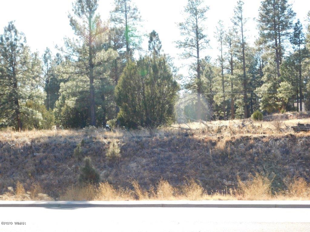 1925 Highway 260 Heber, AZ 85928 - Photo 12 of 14