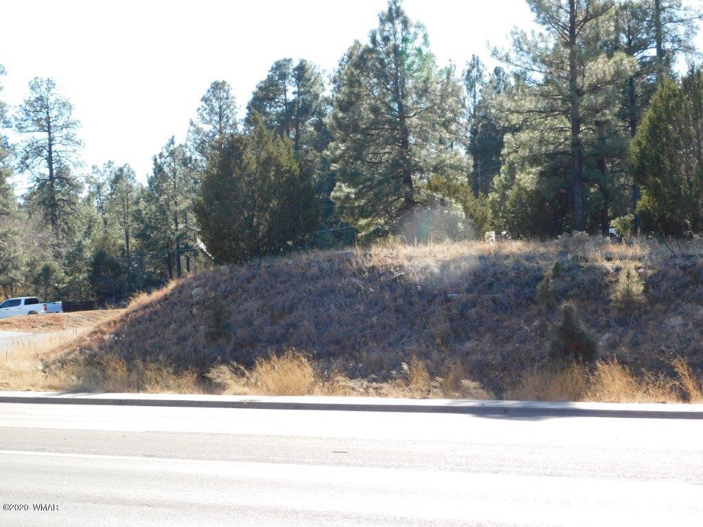 1925 Highway 260 Heber, AZ 85928 - Photo 13 of 14