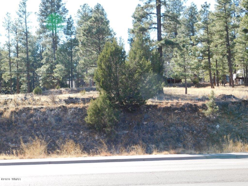 1925 Highway 260 Heber, AZ 85928 - Photo 14 of 14