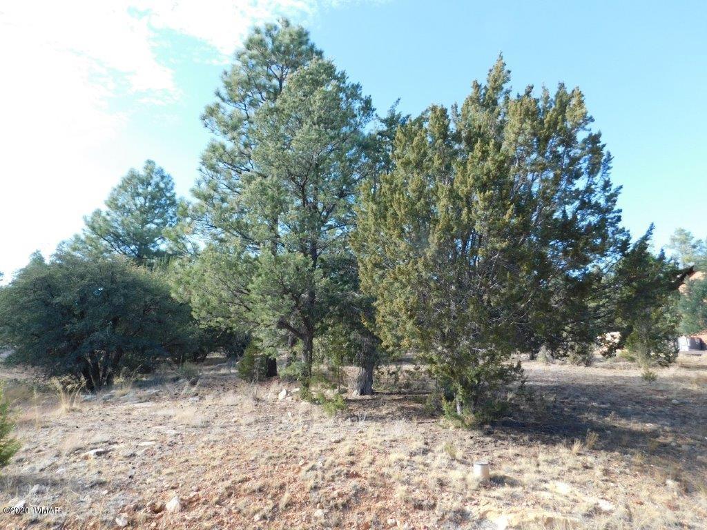 1925 Highway 260 Heber, AZ 85928 - Photo 2 of 14