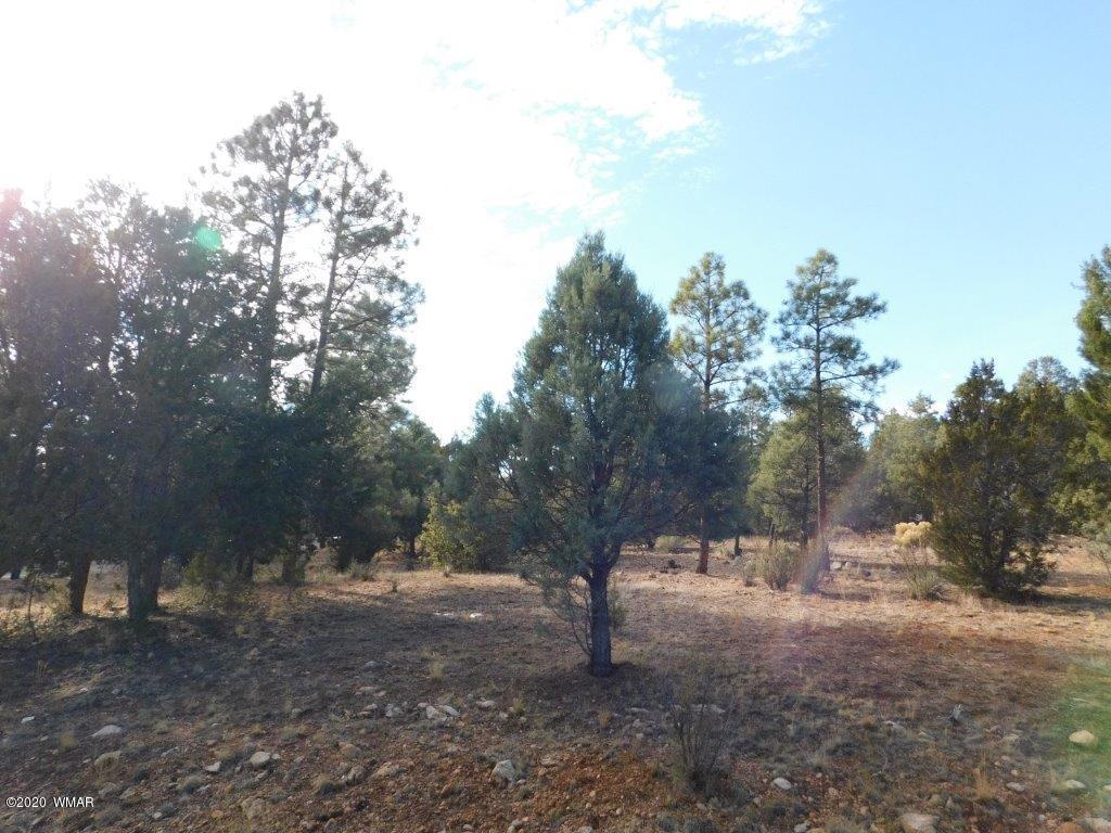 1925 Highway 260 Heber, AZ 85928 - Photo 3 of 14