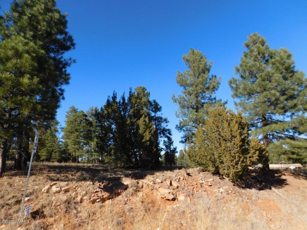 1925 Highway 260 Heber, AZ 85928 - Photo 4 of 14