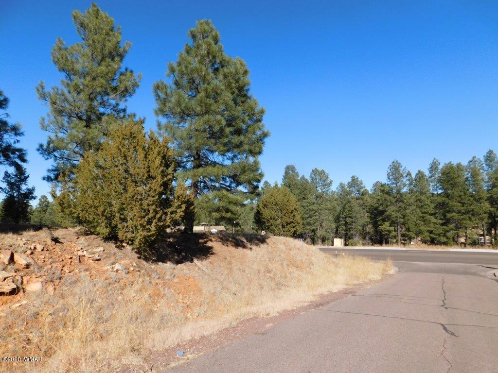 1925 Highway 260 Heber, AZ 85928 - Photo 5 of 14