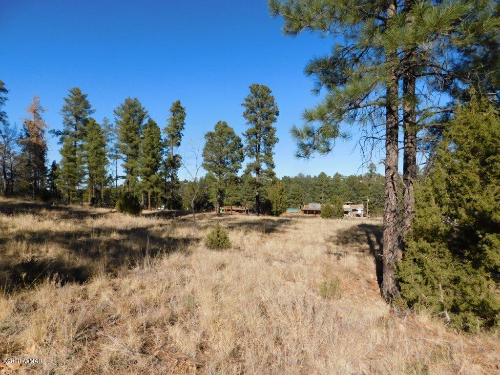 1925 Highway 260 Heber, AZ 85928 - Photo 6 of 14