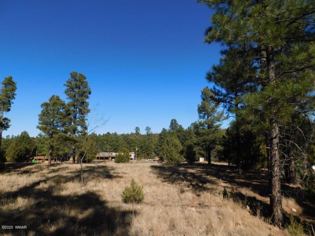 1925 Highway 260 Heber, AZ 85928 - Photo 7 of 14