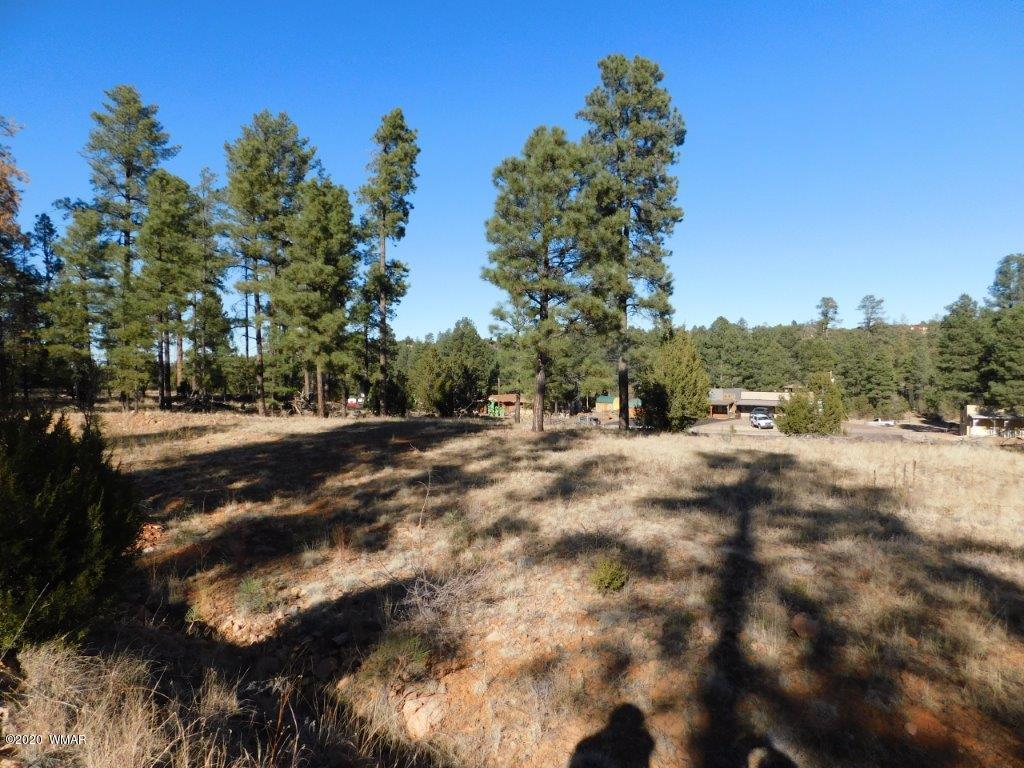 1925 Highway 260 Heber, AZ 85928 - Photo 8 of 14