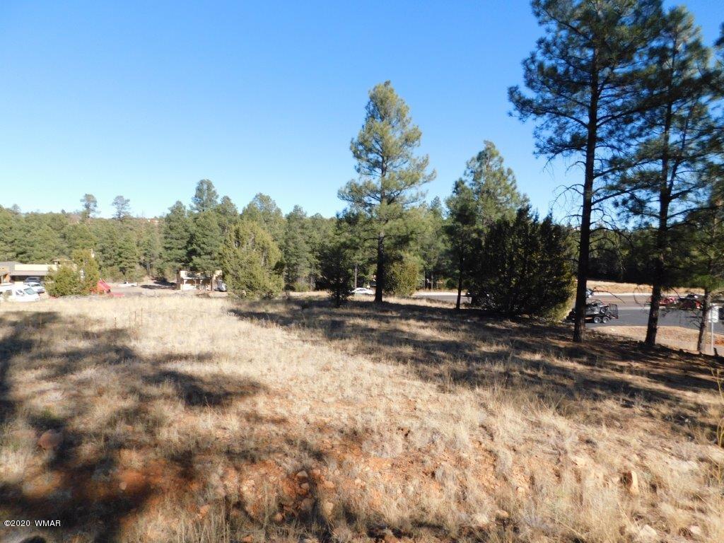 1925 Highway 260 Heber, AZ 85928 - Photo 9 of 14