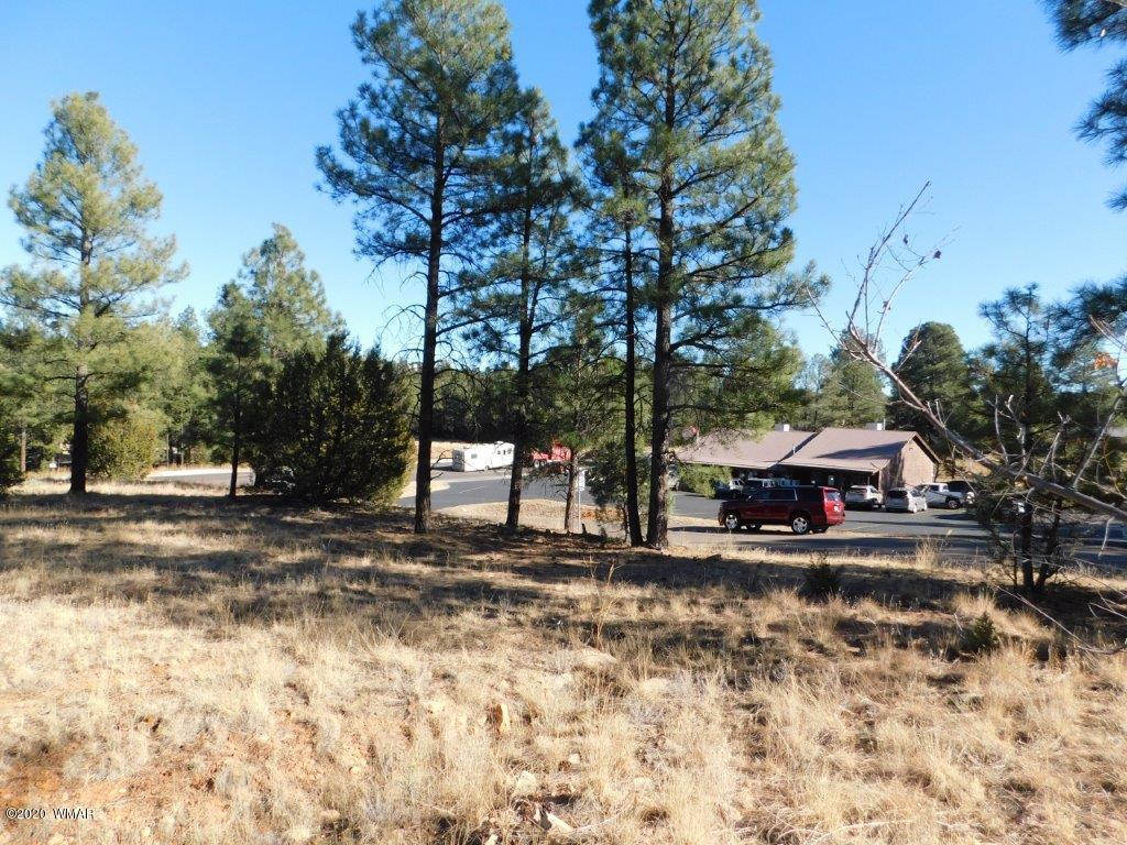 1925 Highway 260 Heber, AZ 85928 - Photo 10 of 14