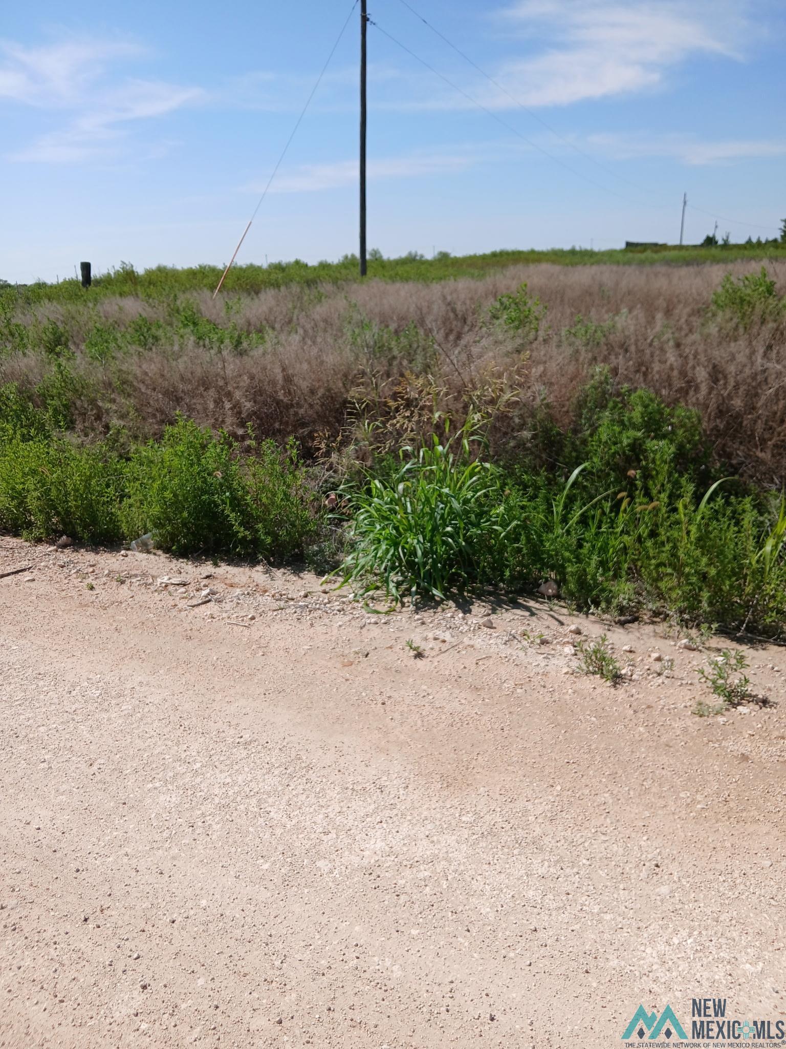 710 South Rru Road Elida, NM 88116 - Photo 1 of 2 Gallery Image 1