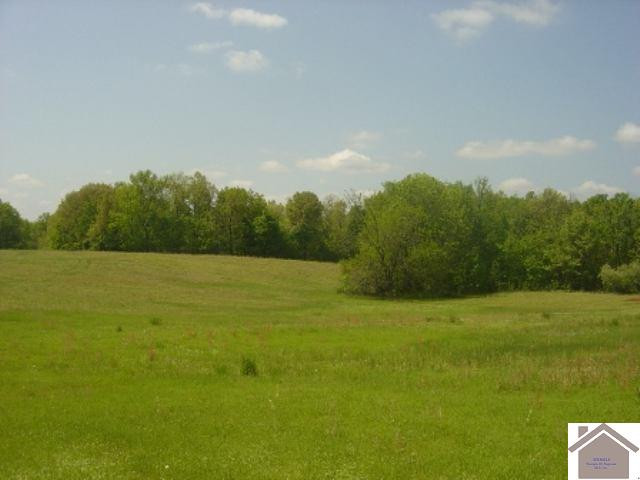 Jake Duke & Oak Lane, Unit 98 103 Grand Rivers, KY 42045 - Photo 1 of 1 6.6 Acres Rolling Meadows