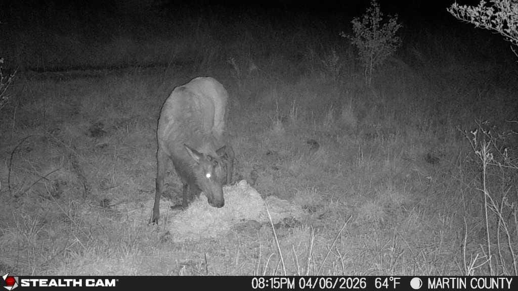 9074 Wolf Creek Road Pilgrim, KY 41250 - Photo 124 of 133 Elk