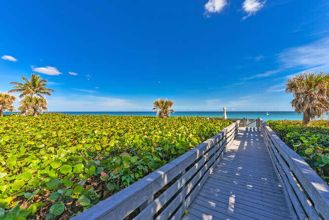 420 Celestial Way, Unit 101 Juno Beach, FL 33408 - Photo 6 of 37 a view of a balcony with wooden floor