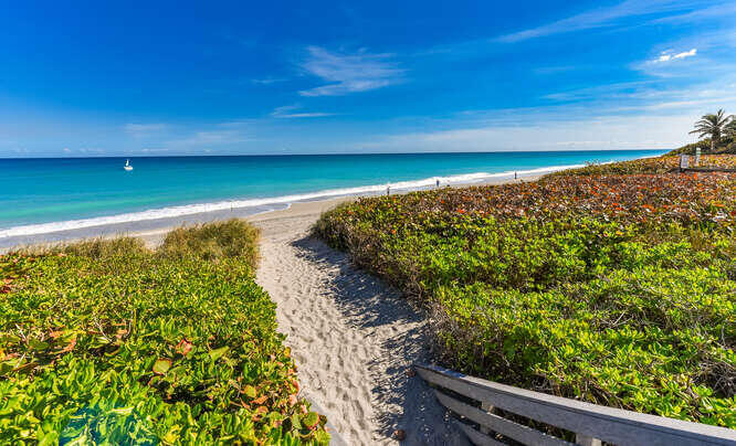 420 Celestial Way, Unit 101 Juno Beach, FL 33408 - Photo 7 of 37 a view of a yard with a wooden fence