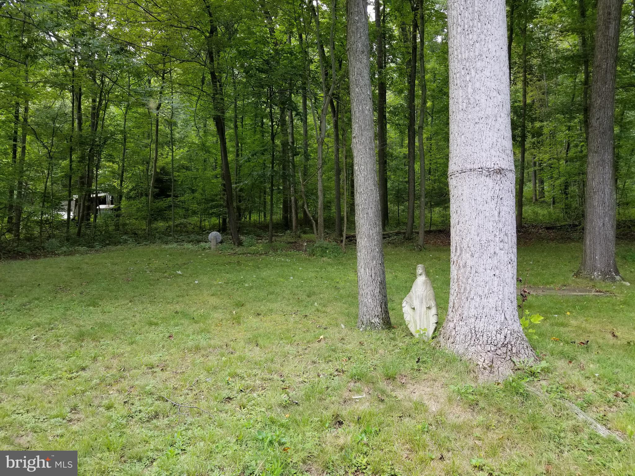 714 Deitrich Road Halifax, PA 17032 - Photo 3 of 5 Gallery Image 3