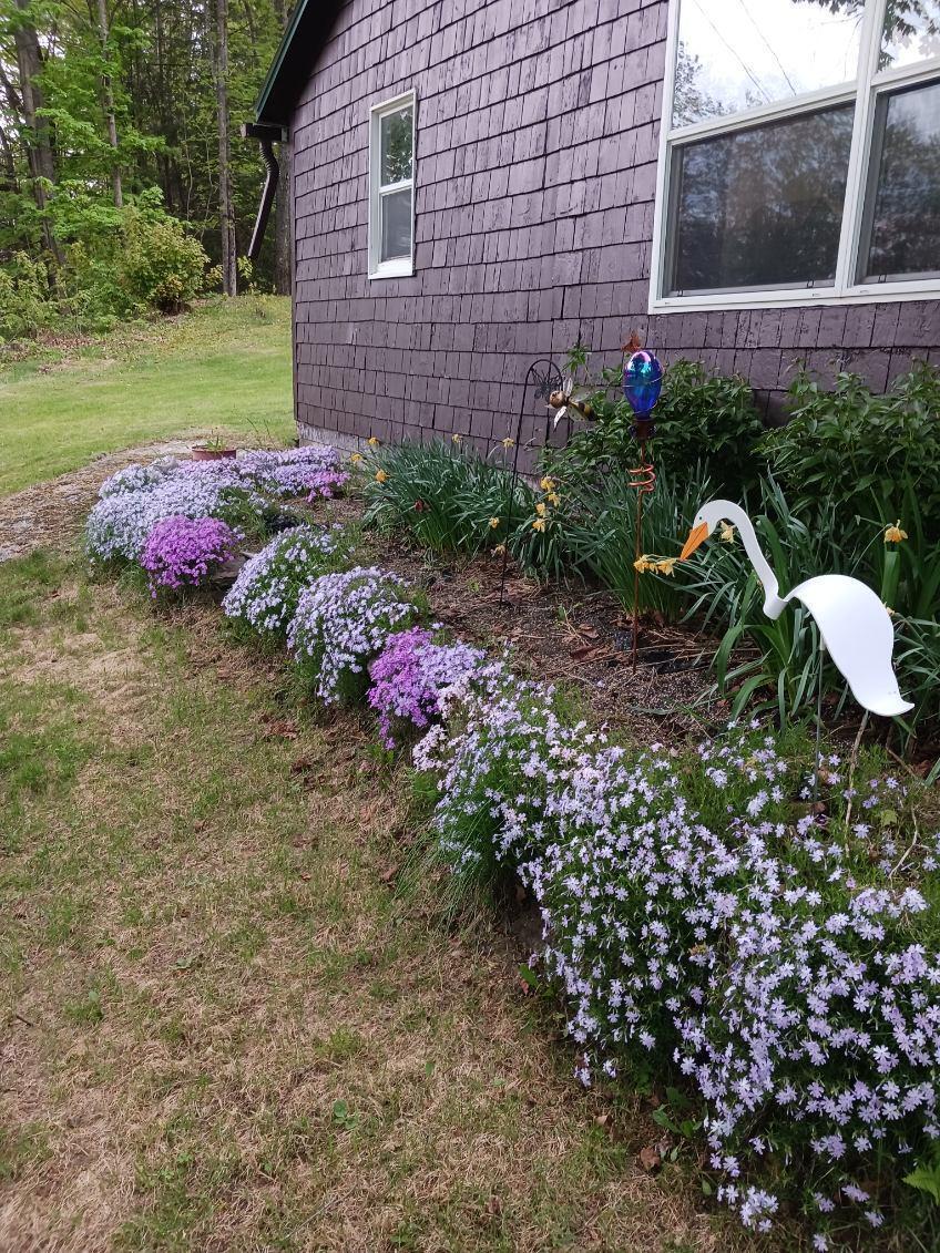 347 Federal Road Livermore, ME 04253 - Photo 37 of 37 115681