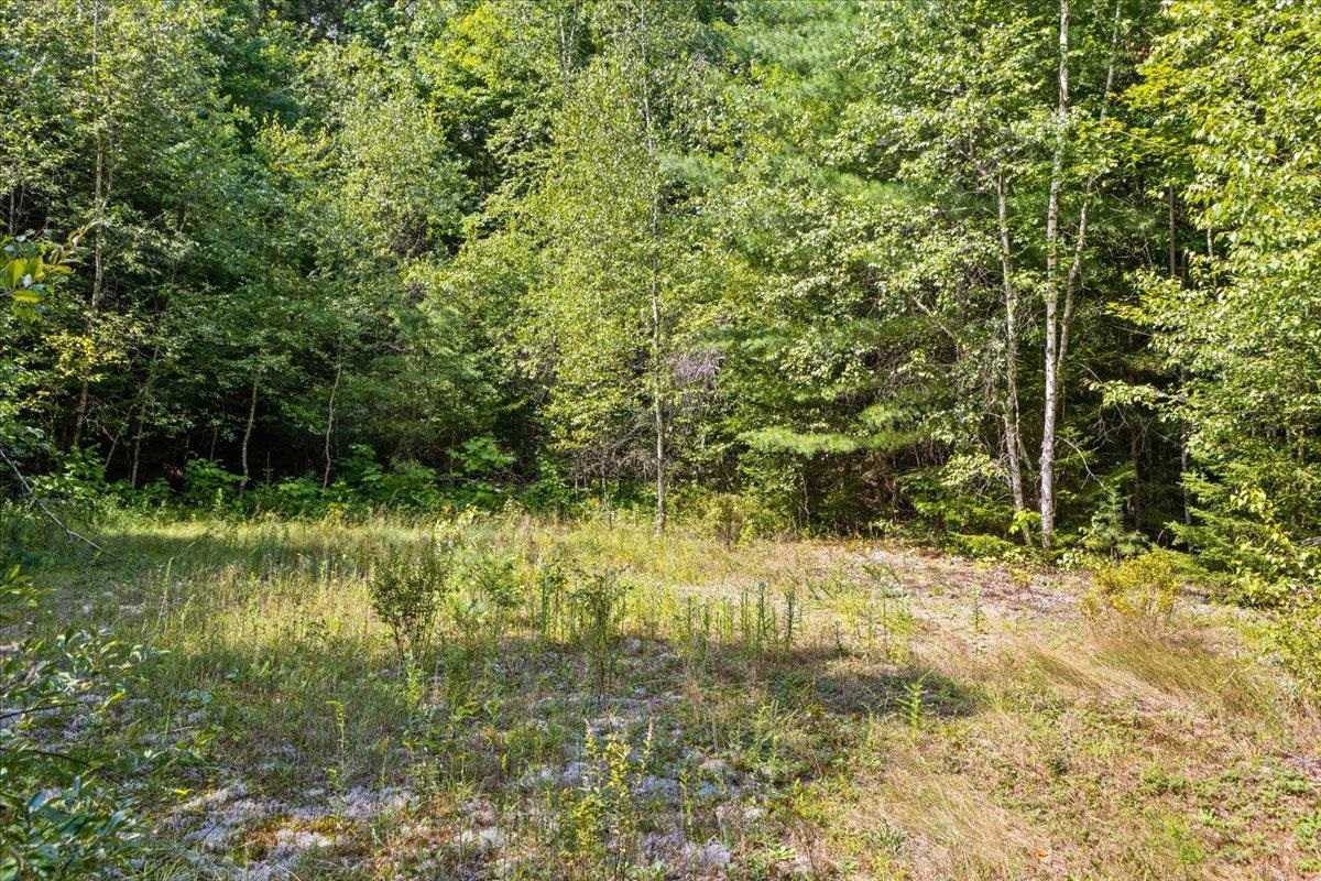 0 Mountain View Road Warren, VT 05674 - Photo 17 of 50 Gallery Image 17