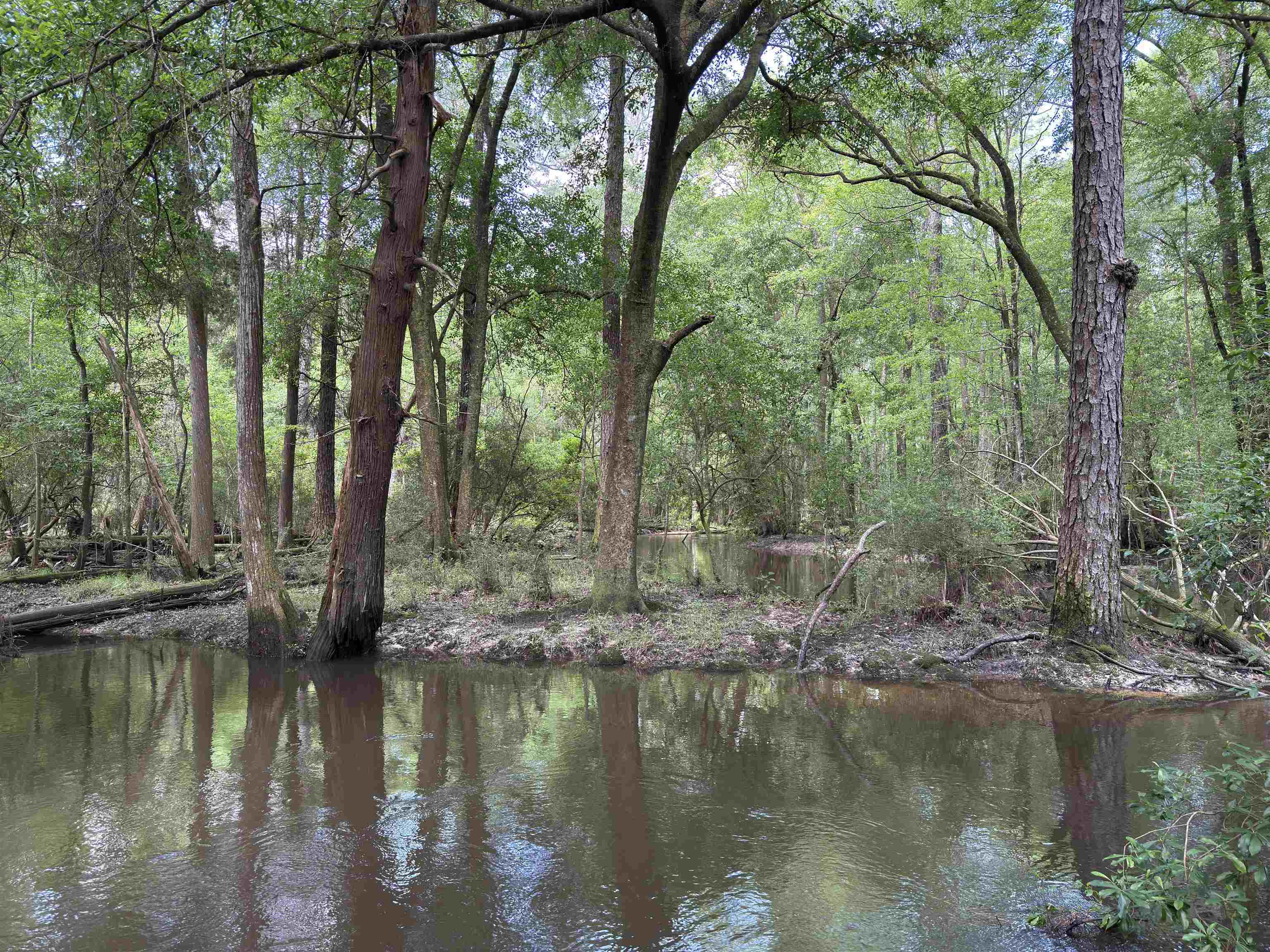87 County Road 87 Elberta, AL 36530 - Photo 38 of 66