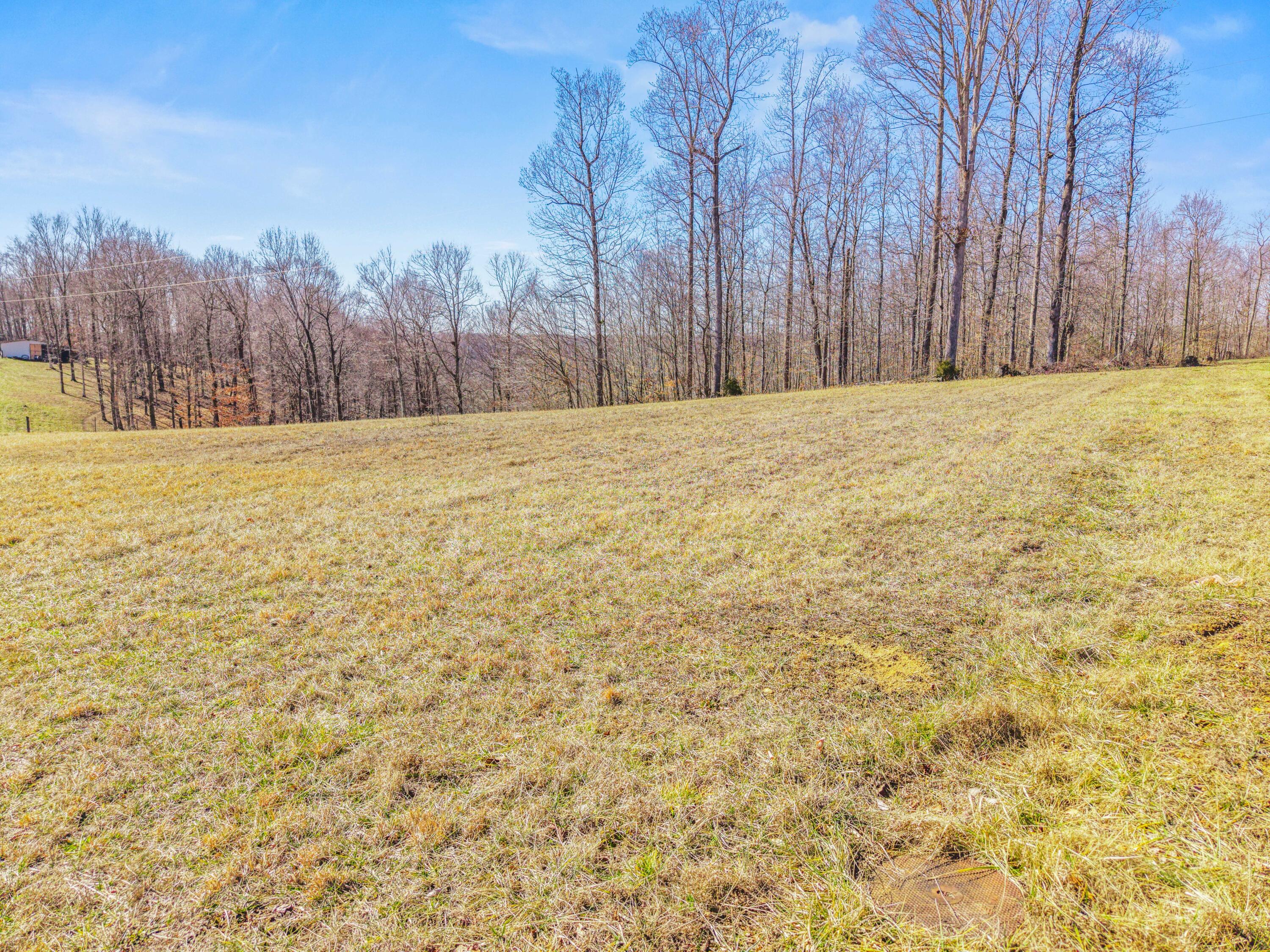 2182 Bryant Rdg Road Liberty, KY 42539 - Photo 31 of 44 2182 Bryant Photo-05