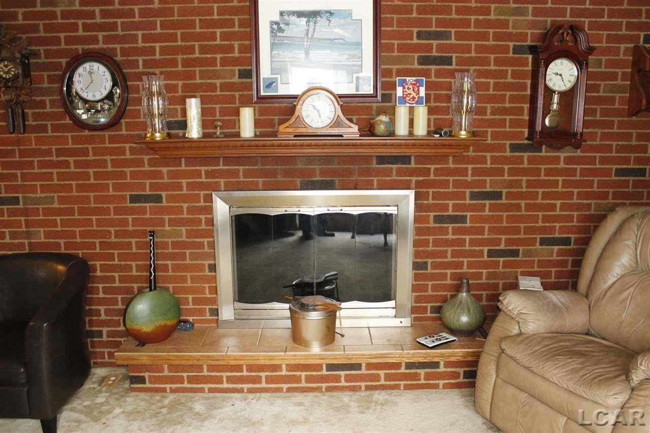 6455 Allen Road Tecumseh, MI 49286 - Photo 7 of 19 Wood fire place located in the family room