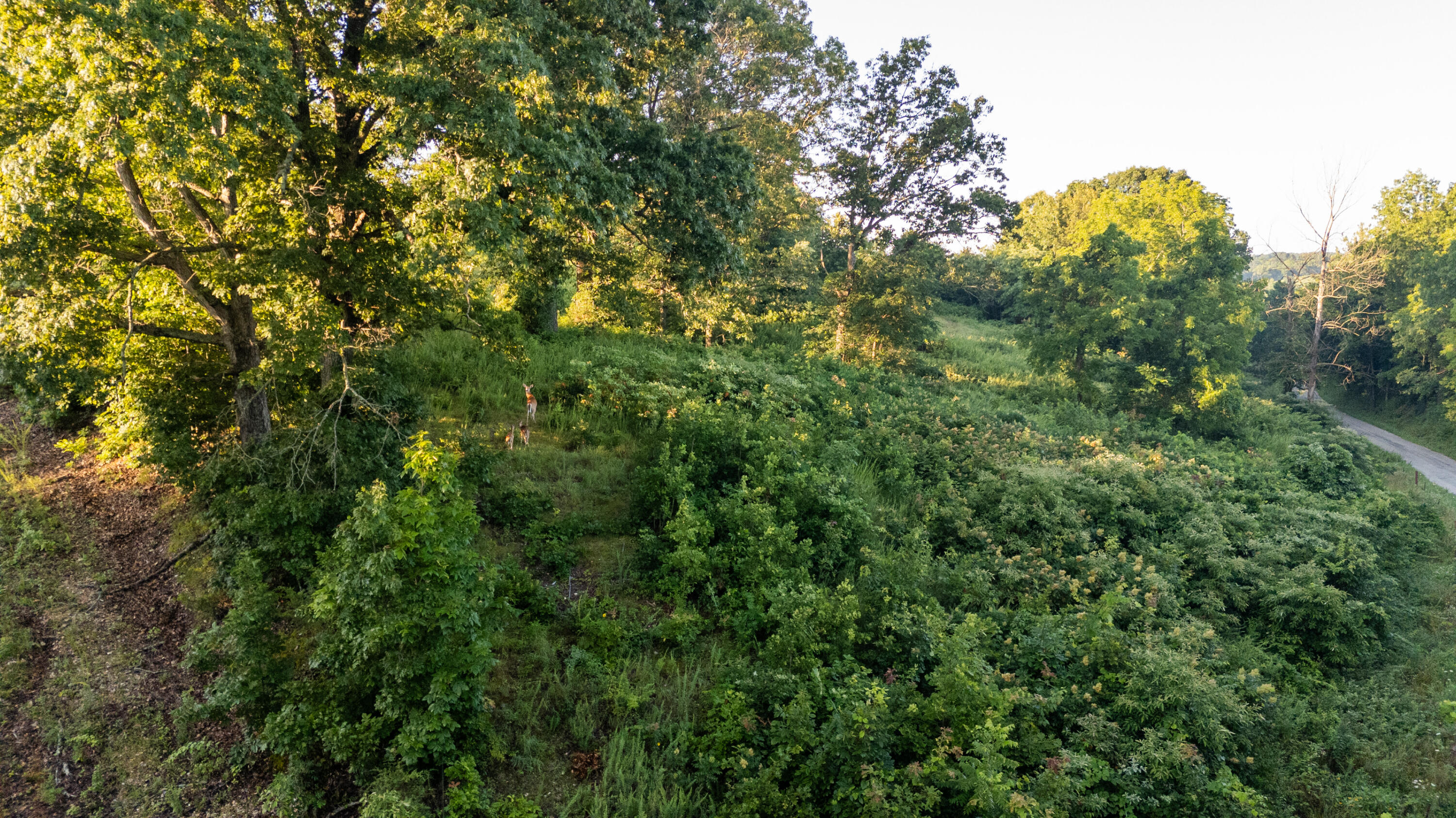 0 Jasper Road Spokane, MO 65754 - Photo 18 of 18 5acrelot
