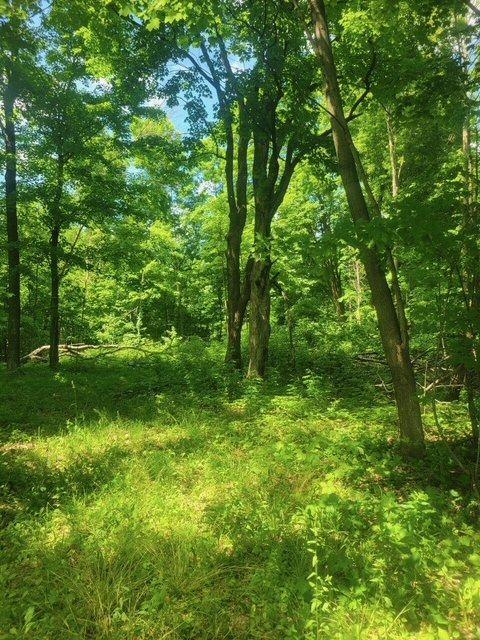 Tbd Tbd 230th Baldwin, WI 54002 - Photo 23 of 56