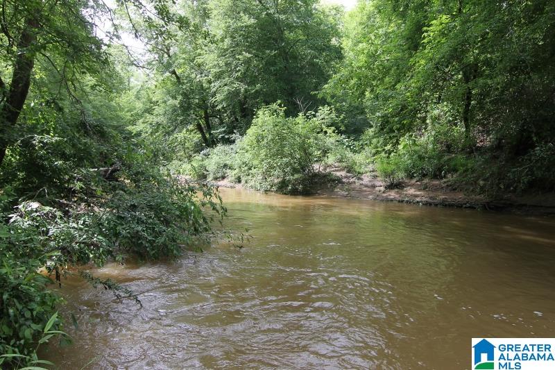 534 County Road, Unit 35± ACRES Woodland, AL 36280 - Photo 3 of 12