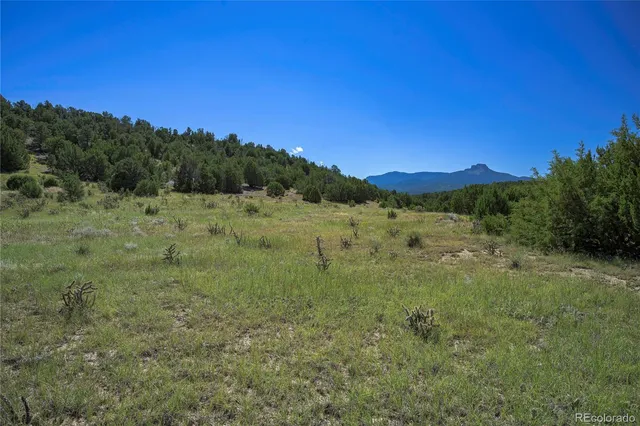 $82,500 | 13700 Corundum Road, Trinidad, CO 81082