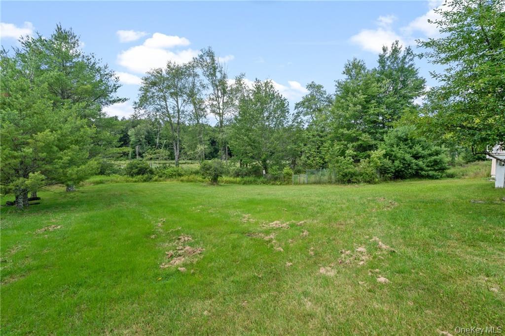 6 Leonard Road Monticello, NY 12701 - Photo 32 of 35 a view of yard with green space