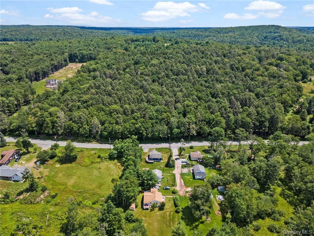 6 Leonard Road Monticello, NY 12701 - Photo 35 of 35 a view of a garden with an outdoor space
