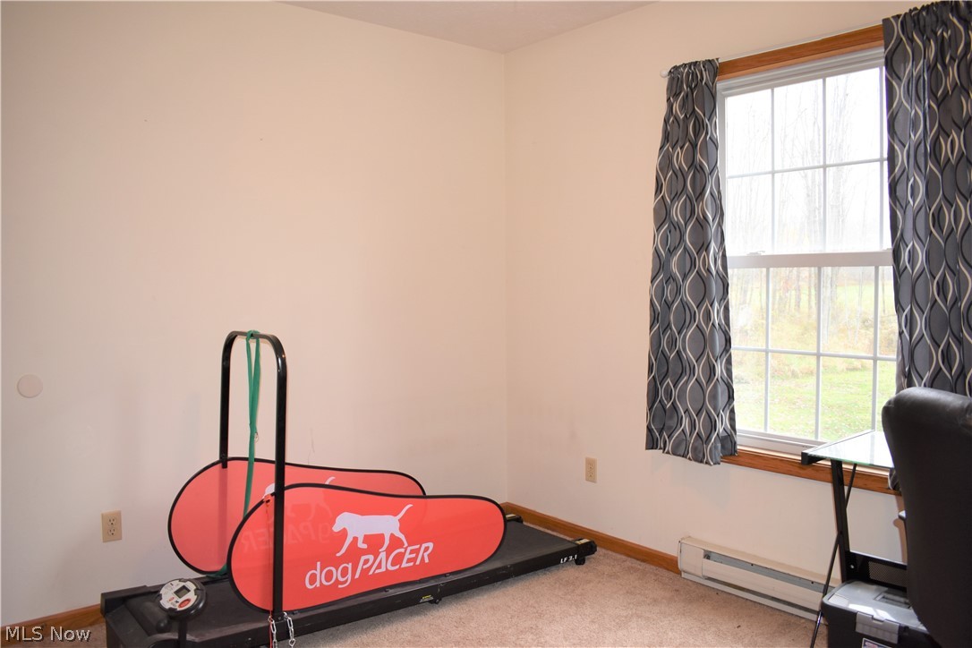 2903 East Maple Road Jefferson, OH 44047 - Photo 23 of 35