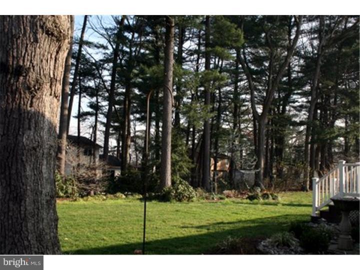 77 Wolfpack Road Hamilton, NJ 08619 - Photo 21 of 25