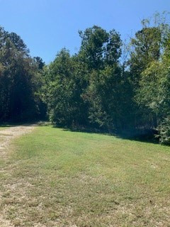 Lot #41 Hudson Road Summerton, SC 29148 - Photo 2 of 4 Gallery Image 2