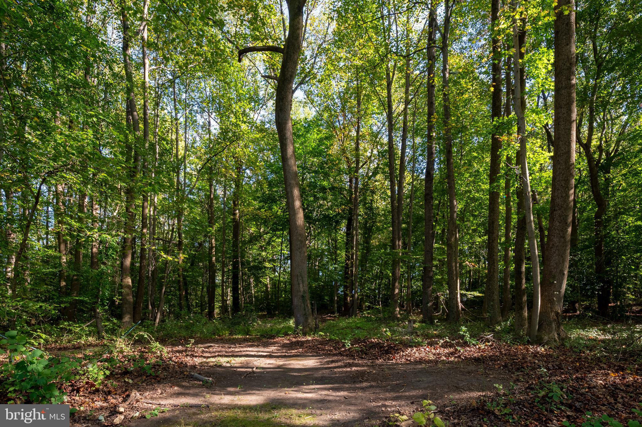 1811 Underwood Road Gambrills, MD 21054 - Photo 43 of 46 a view of outdoor space and yard