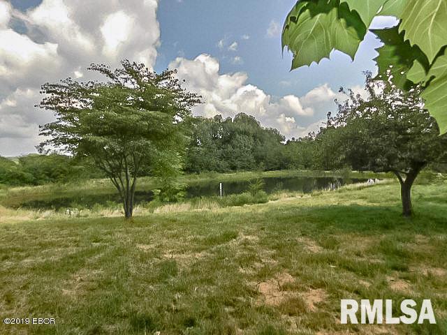 6984 New Columbia Road Belknap, IL 62908 - Photo 4 of 14