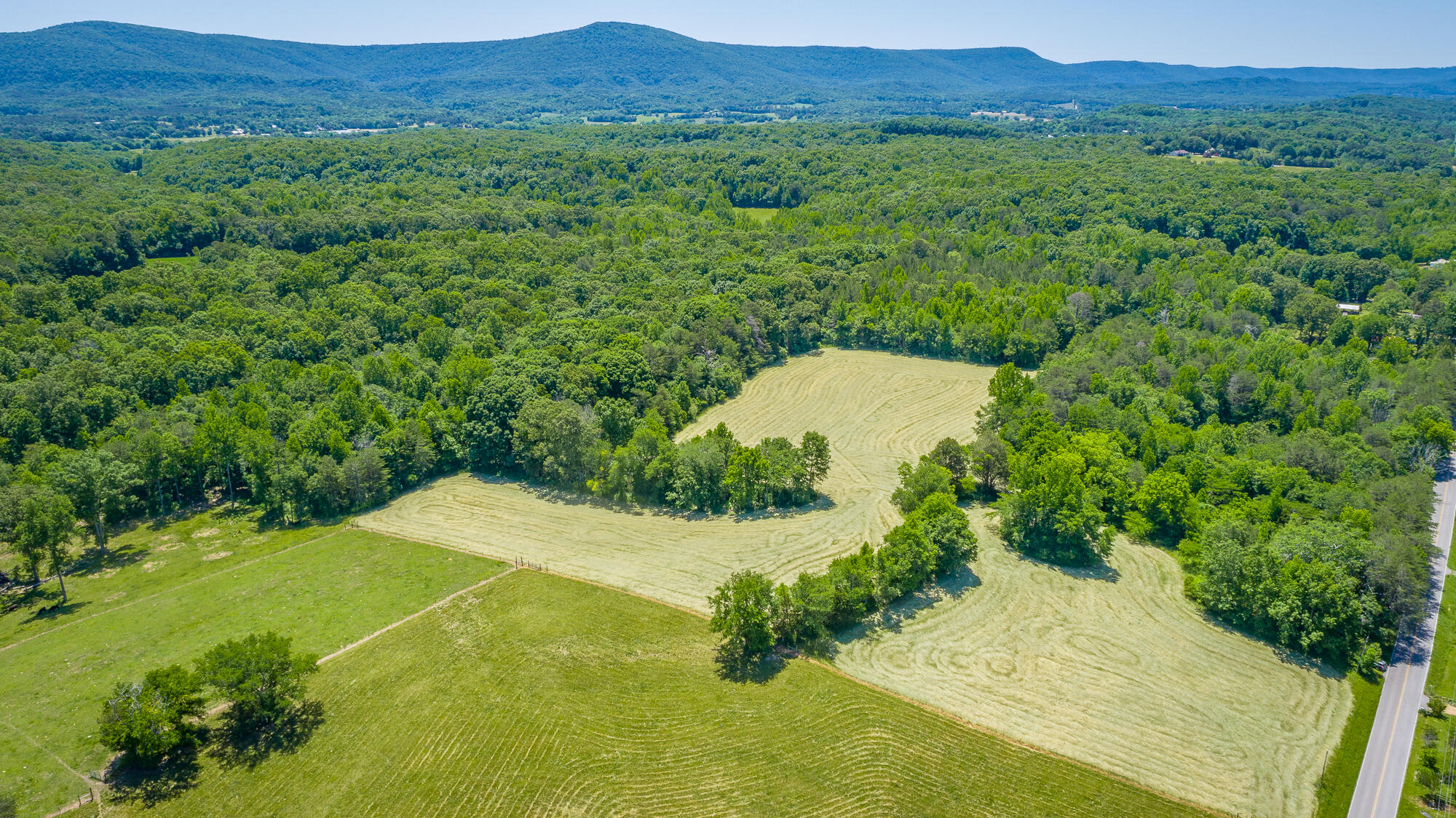 1655 West Cove Road Chickamauga, GA 30707 - Photo 60 of 62 1655 W Cove Road HD-19