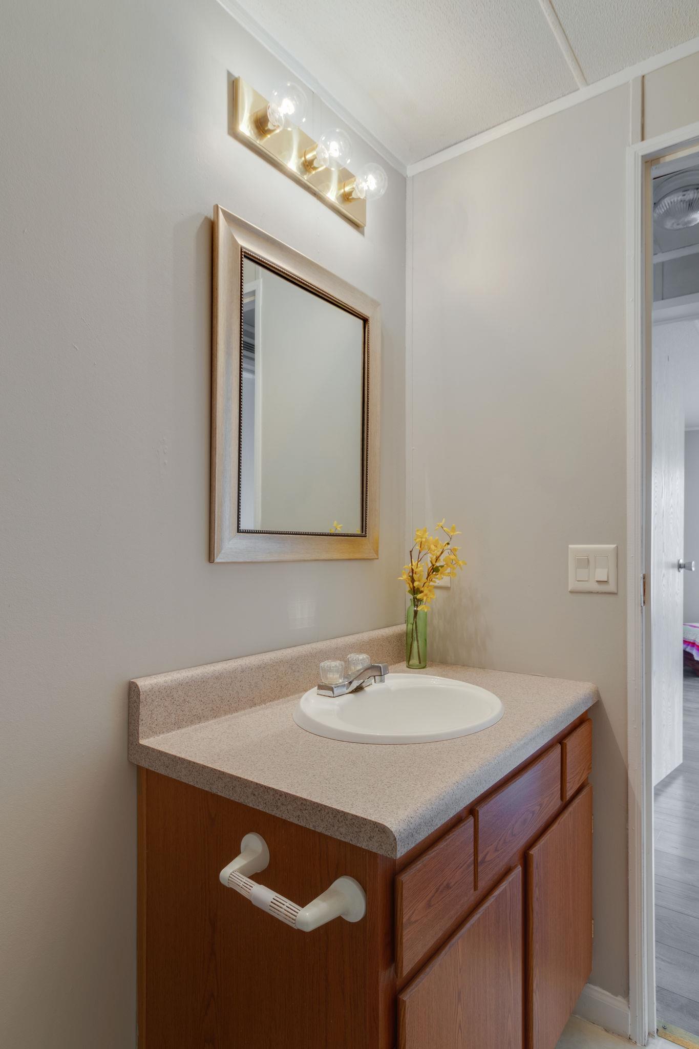 3245 Les Chappell Road Spring Hill, TN 37174 - Photo 15 of 22 a bathroom with a sink vanity and a mirror