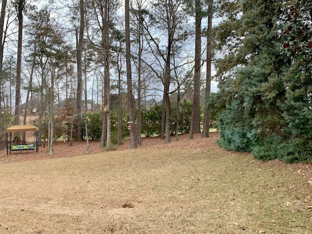 114 Pond View Road Evans, GA 30809 - Photo 52 of 52 Private back yard