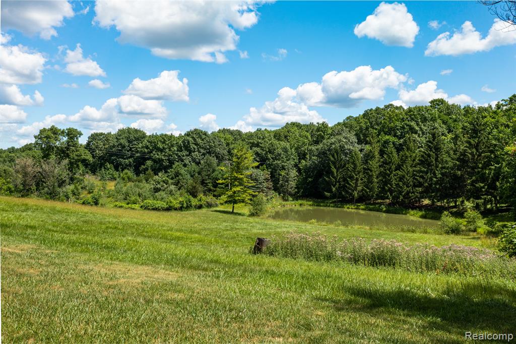 3362 Pratt Road Metamora, MI 48455 - Photo 16 of 18