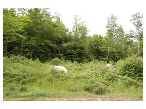 Lot #6 Diffin Road Oxford, ME 04270 - Photo 1 of 1 Photo