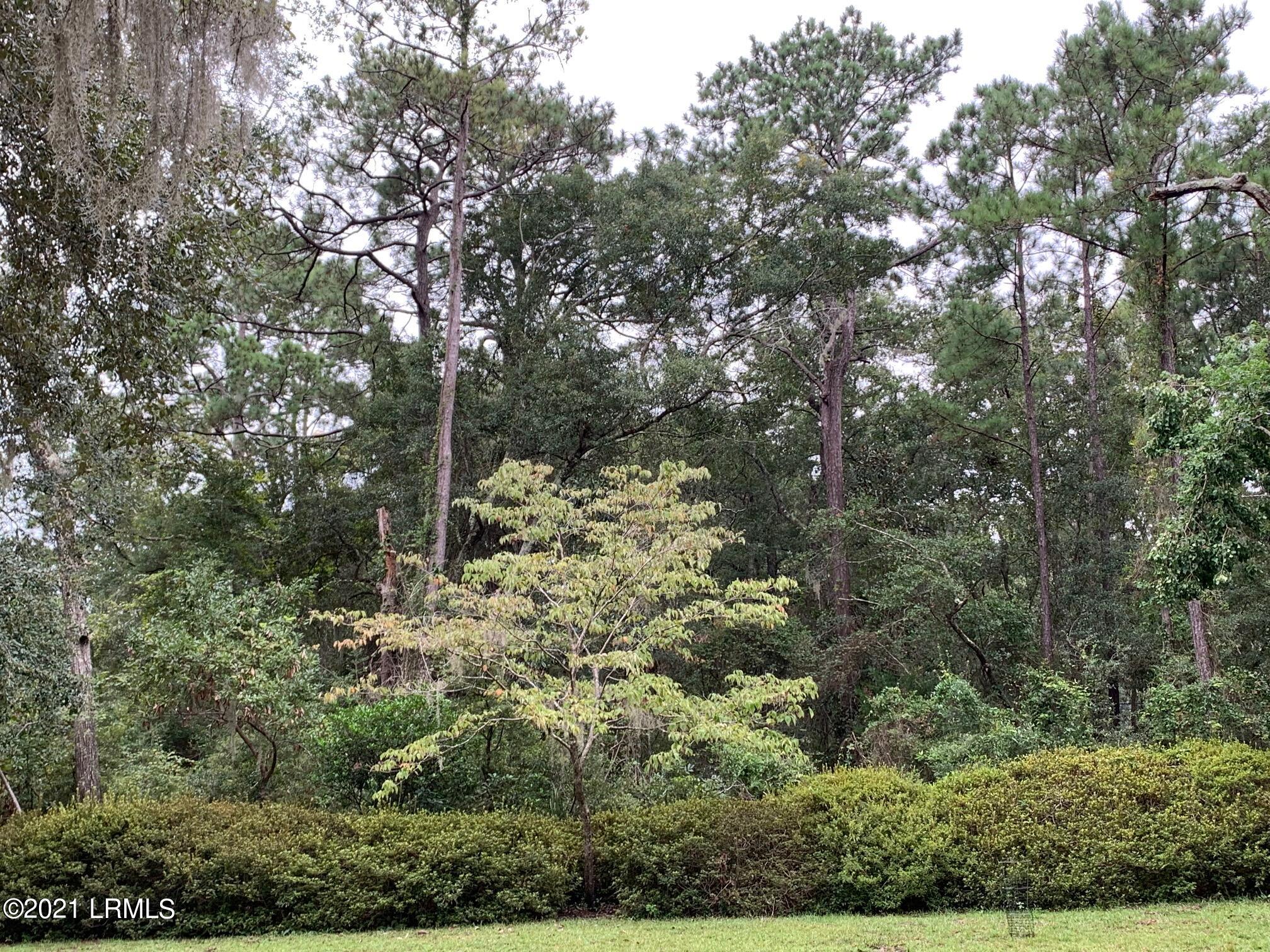 67 Cusabo Road St. Helena Island, SC 29920 - Photo 6 of 20 cusabo 3