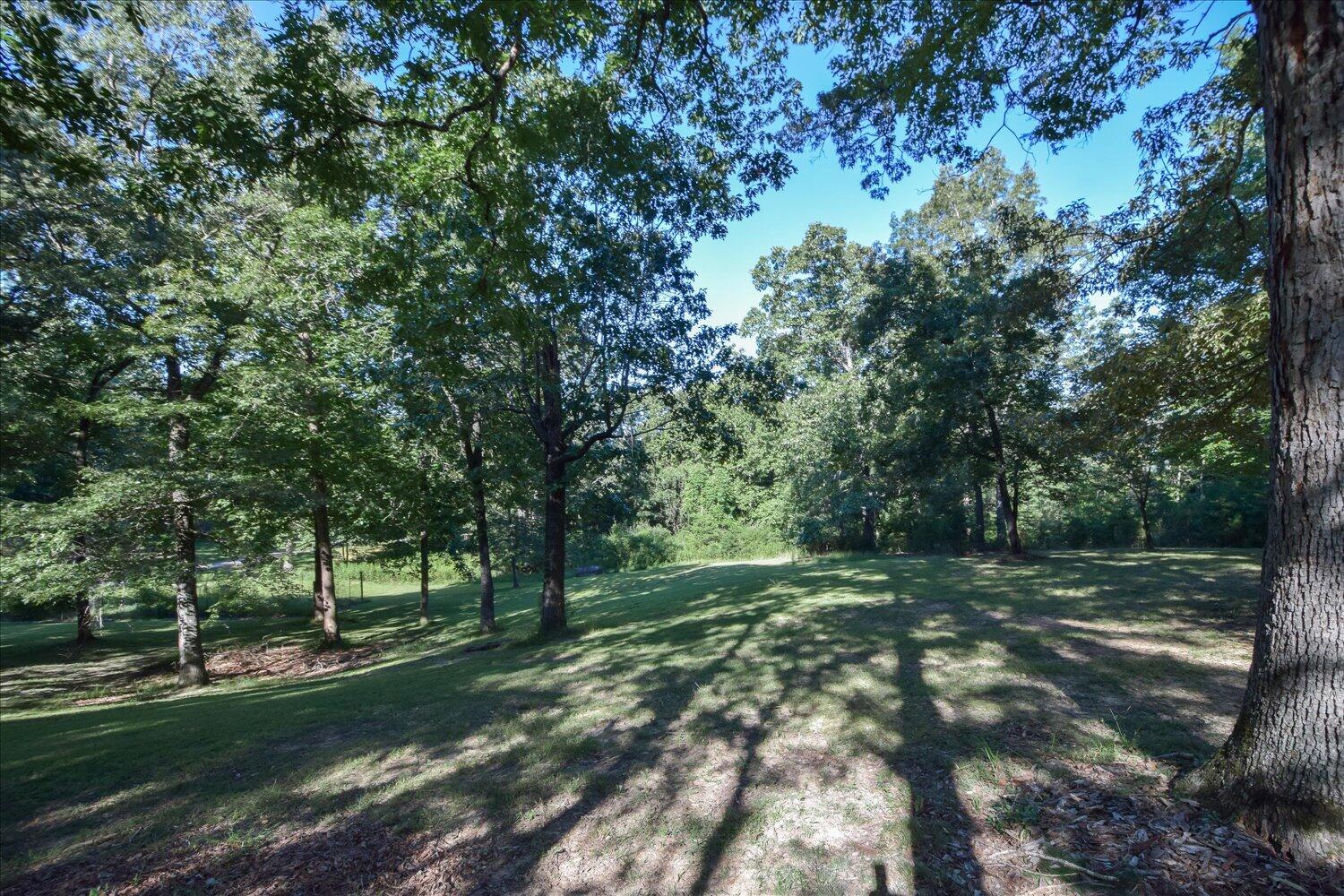 578 Kyles Mill Road Buchanan, VA 24066 - Photo 42 of 56 42-578 Kyles Mill-42