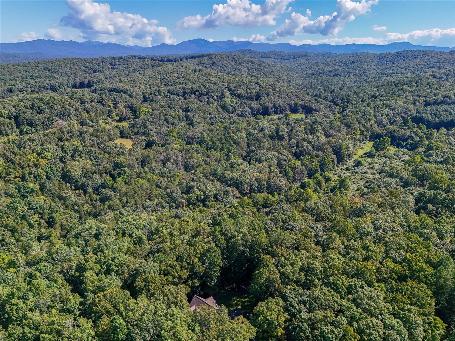 578 Kyles Mill Road Buchanan, VA 24066 - Photo 53 of 56 54-578 Kyles Mill-54