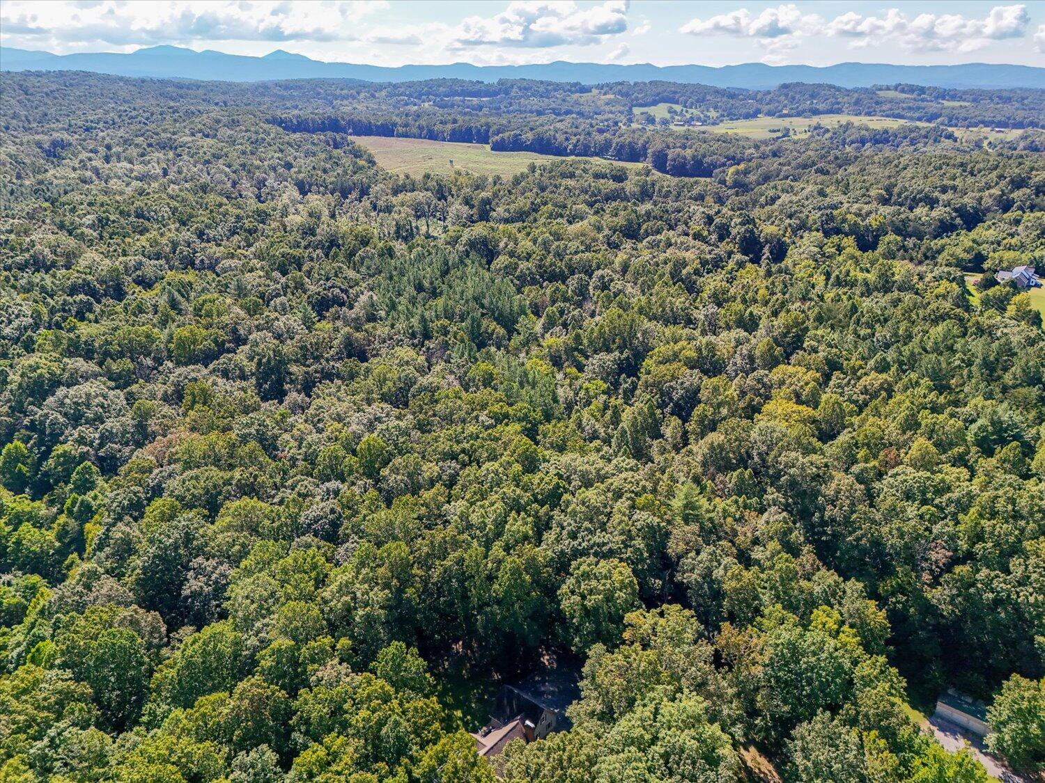 578 Kyles Mill Road Buchanan, VA 24066 - Photo 54 of 56 55-578 Kyles Mill-55