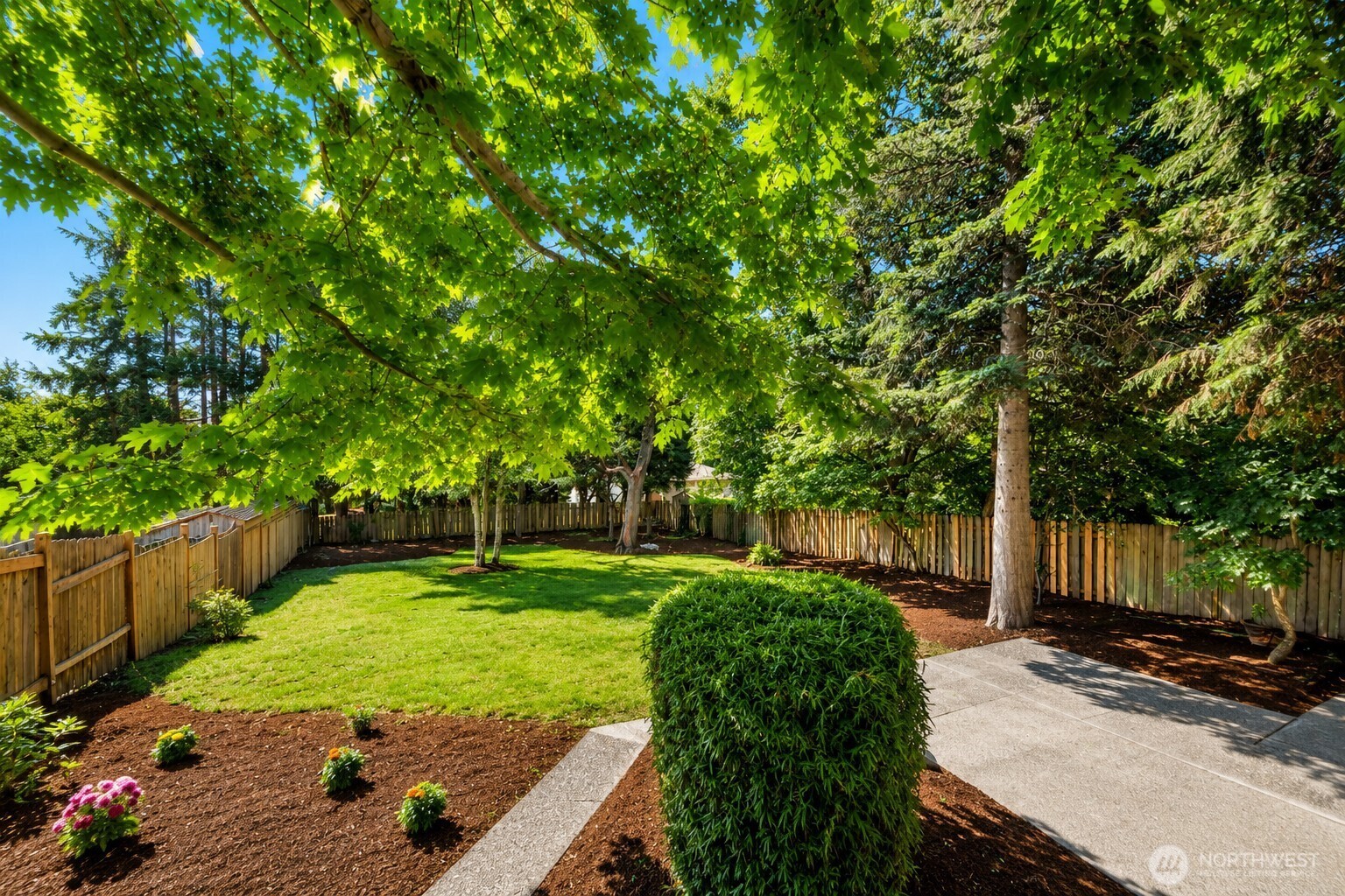 11229 29th Avenue Southwest Seattle, WA 98146 - Photo 24 of 28 a view of a backyard with large trees